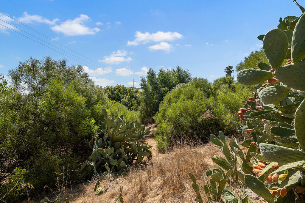 San Diego Real Estate | 0000 Lowell